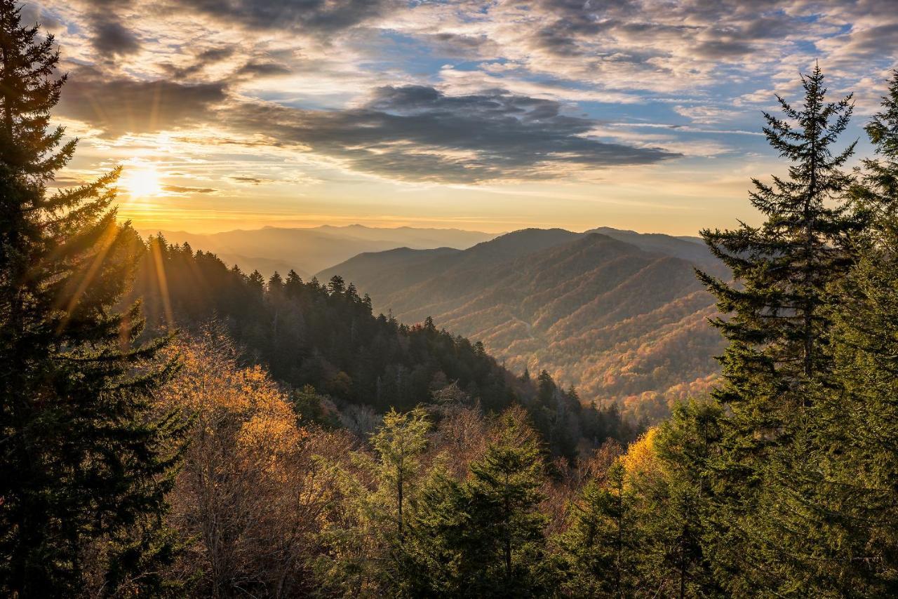 Absolute Delight Whispering Pines 553 Daire Pigeon Forge Dış mekan fotoğraf