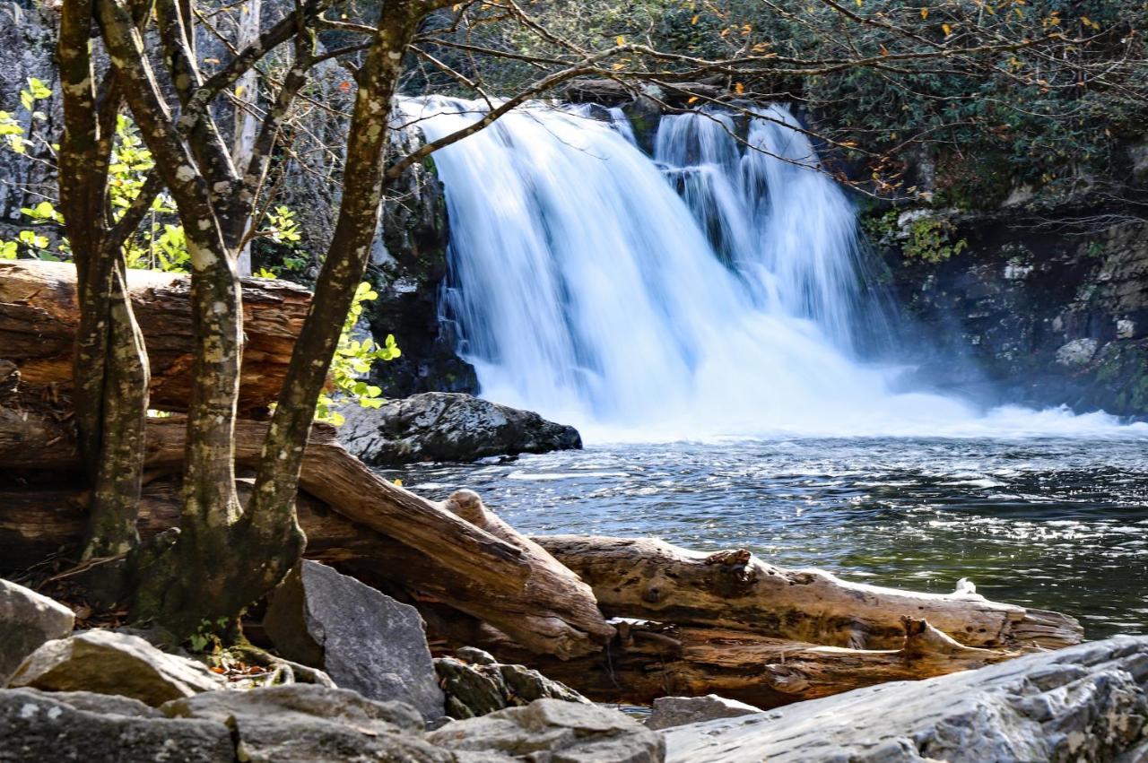 Absolute Delight Whispering Pines 553 Daire Pigeon Forge Dış mekan fotoğraf